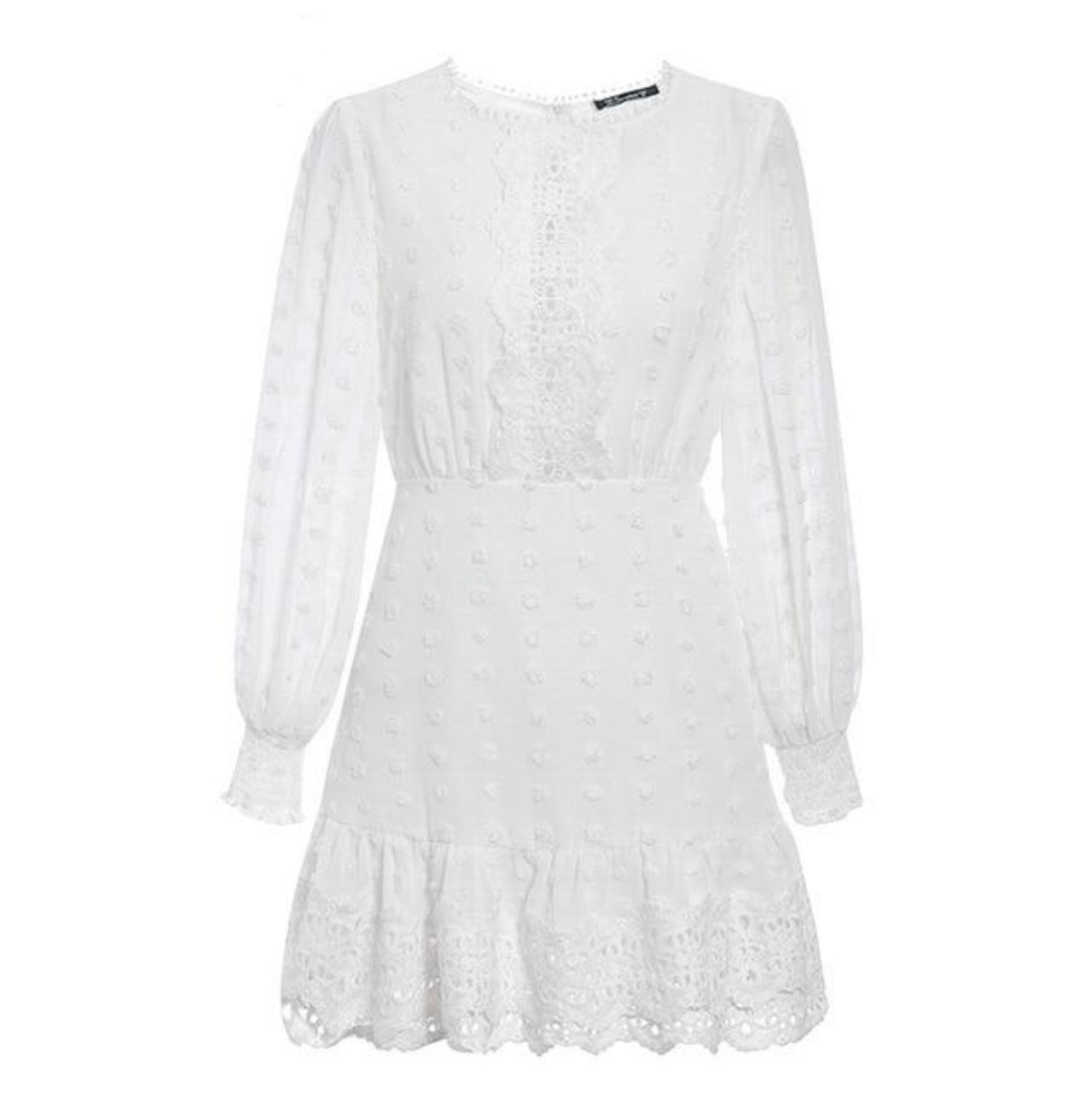 Elegant Long Sleeve Lace Dress with Embroidery Dots