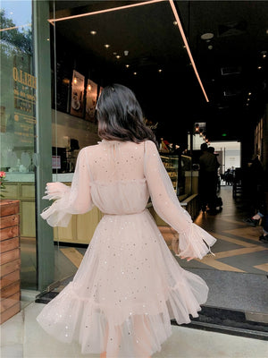 Shiny Sequin Transparent Mesh Elegant Dress
